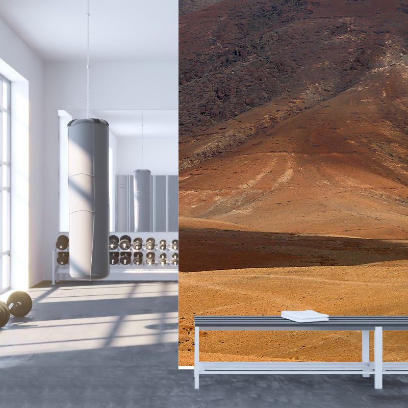 Stain Resistant Wallpaper Desert Photography Environmental Landscapes Wall Mural