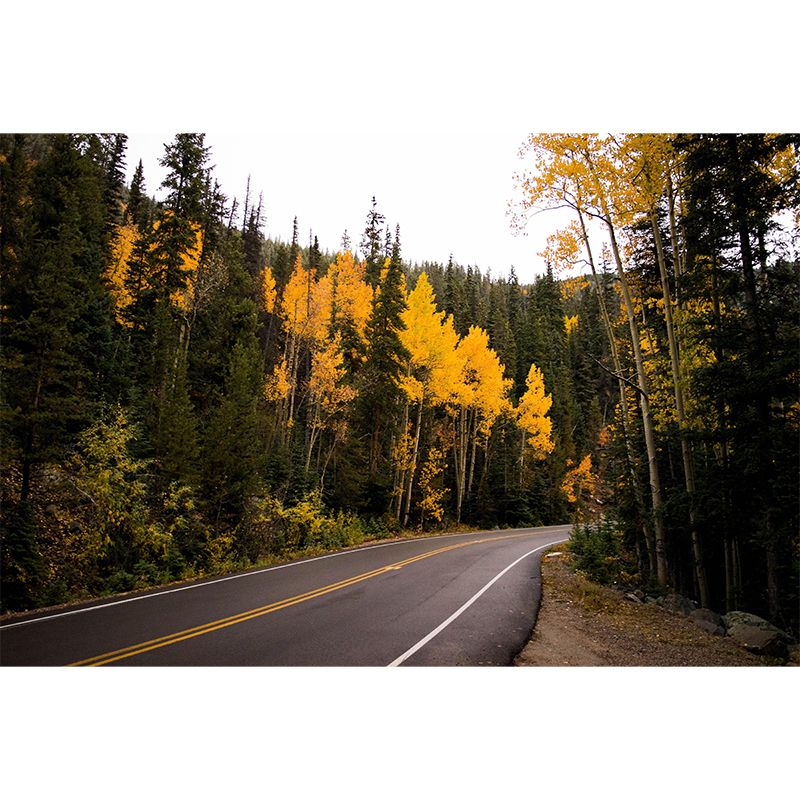 Customized Road Wall Mural Environment Friendly Wallpaper for Guest Room Decoration