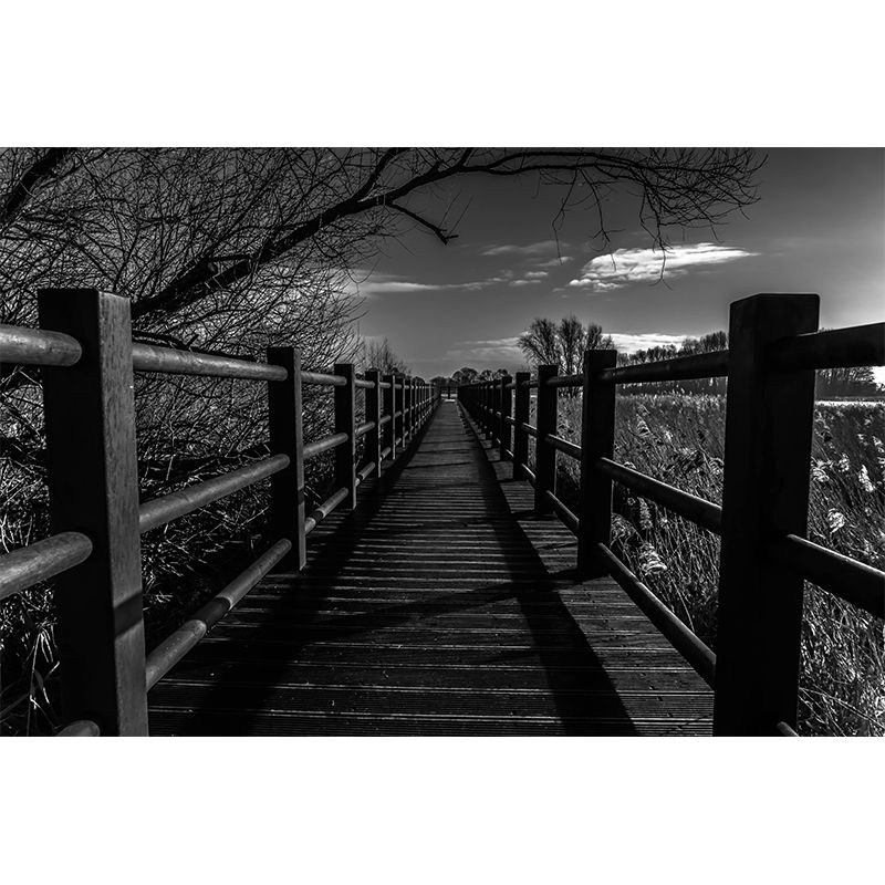 Environmental Space Extension Mural Wallpaper Photography for Bedroom