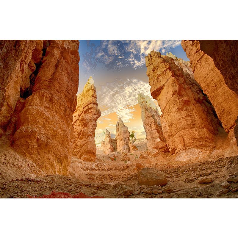 Canyon Photography Pattern Mildew Wall Mural Horizontalt for Living Room