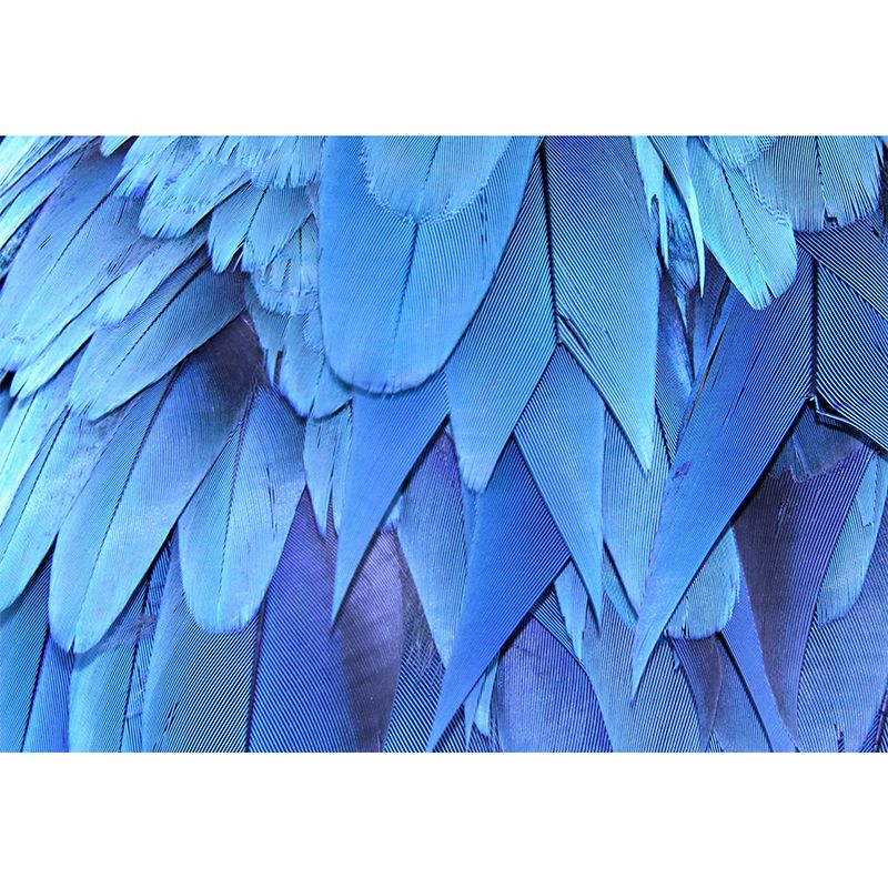 Stain Resistant Decorative Murals Feather Bedroom Wall Murals