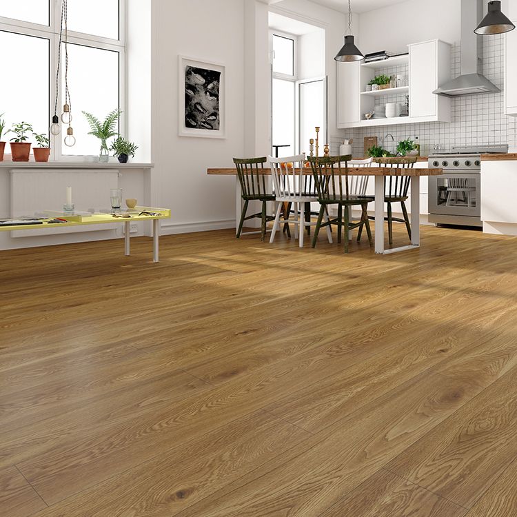 Contemporary Laminate Flooring Light Color Wooden Laminate Flooring