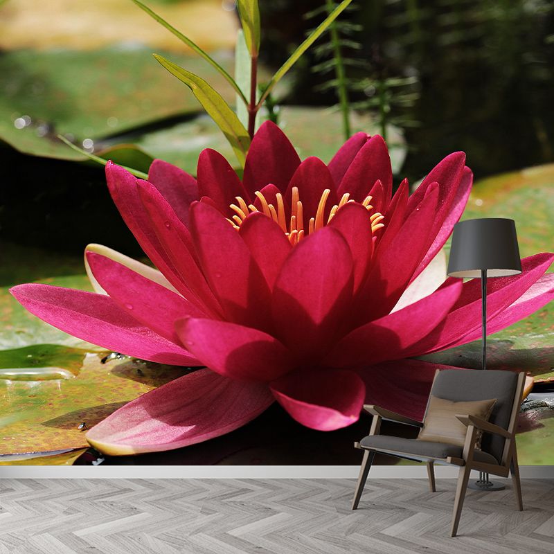 Customized Contemporary Lotus Mural Mildew Resistant for Sitting Room Bedroom