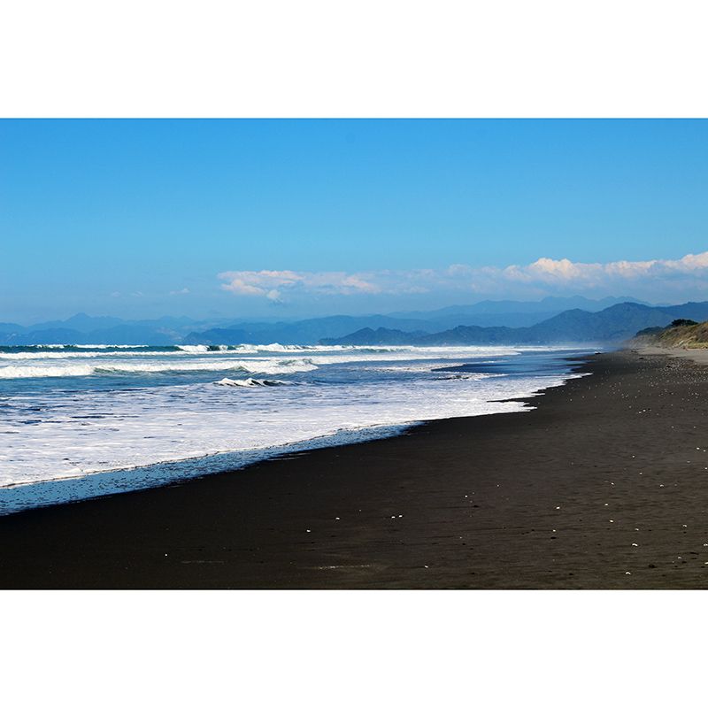 Beach Wall Murals for Guest Room Bathroom Moisture Resistant, Custom Size Available