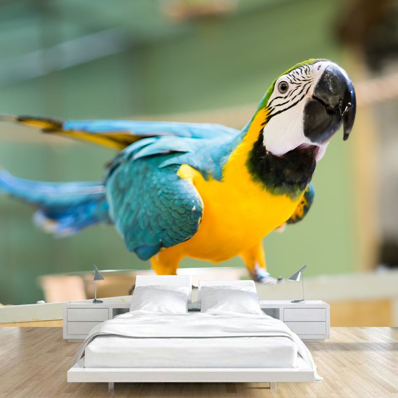Tropical Animal Parrot Wall Mural Decal Indoor Room Decoration Wall Decor for Exhibition Hall