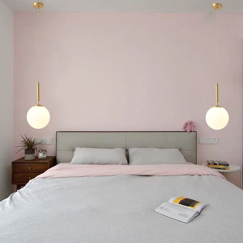 Modern Minimalist Design Globe Hanging Lamp Opal Frosted Glass Shade 1 Light Pendant Light