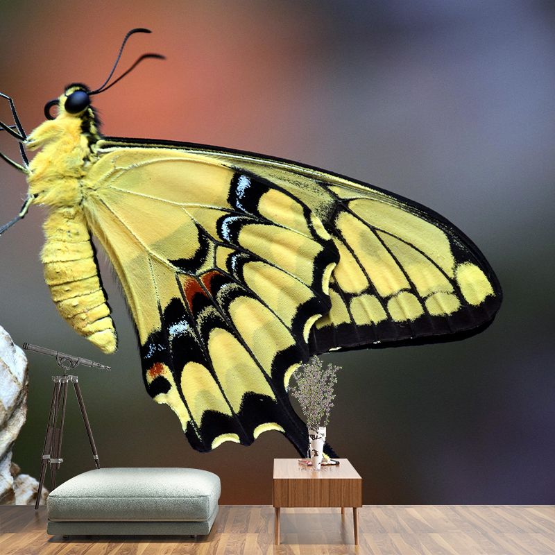 Customized Butterfly Wall Mural Wallpaper Horizontal Photography for Bedroom