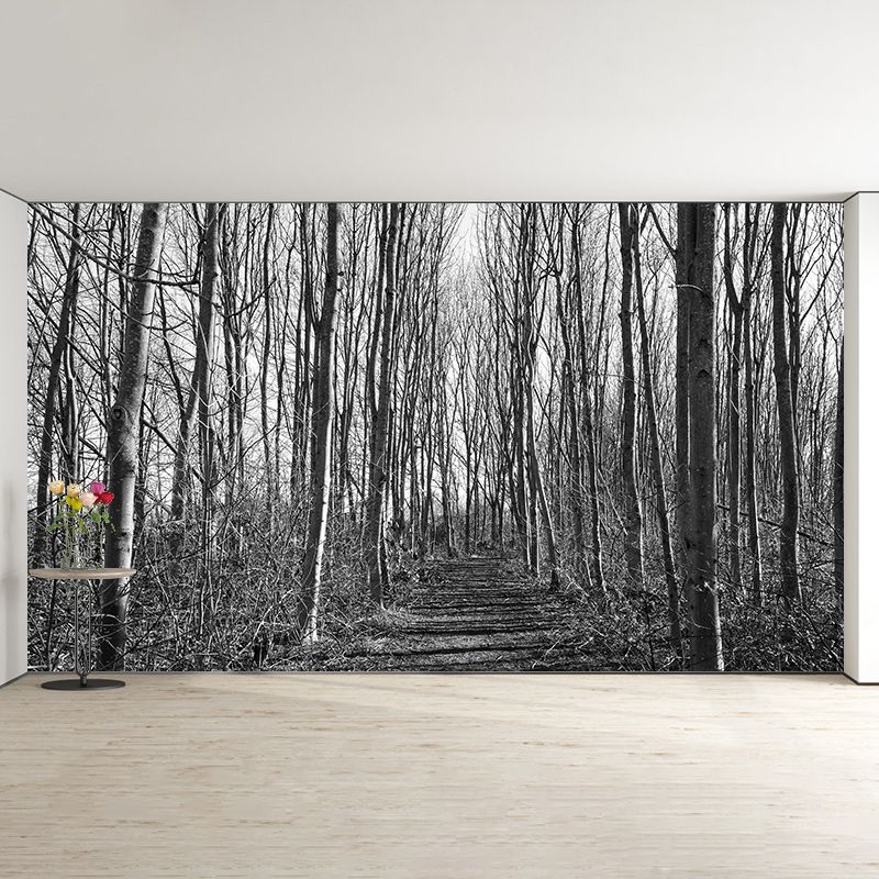 Photography Wall Mural Wallpaper Outdoor Path Living Room Wall Mural