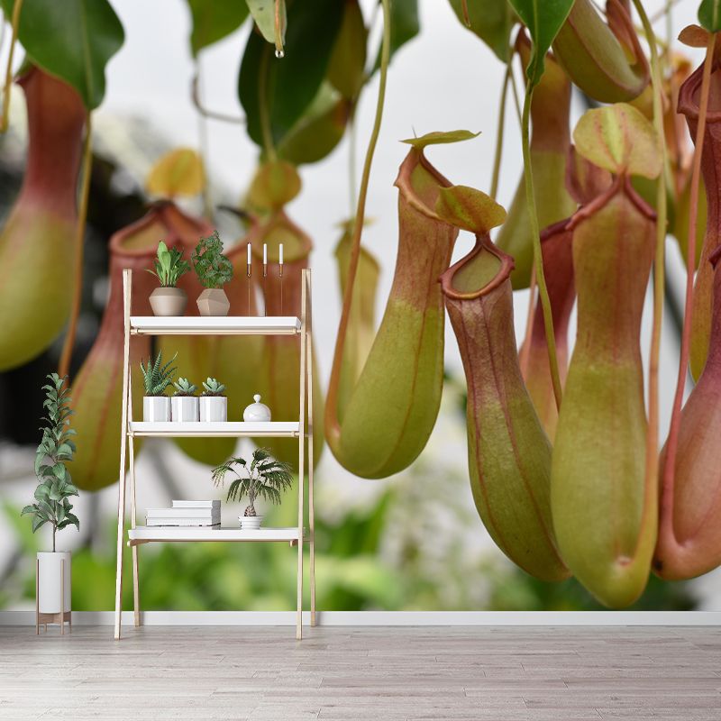 Contemporary Nepenthes Mural Environment Friendly Wallpaper for Living Room