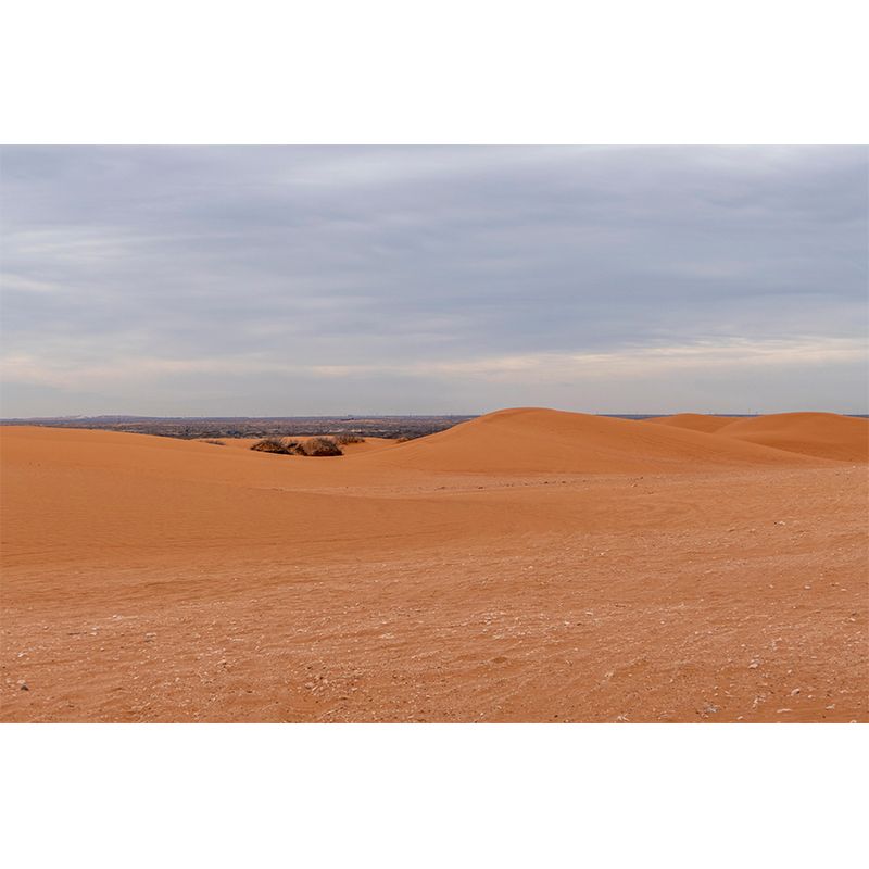 Horizontal Photography Desert Mural Mildew Resistant Wallpaper for Home Decor