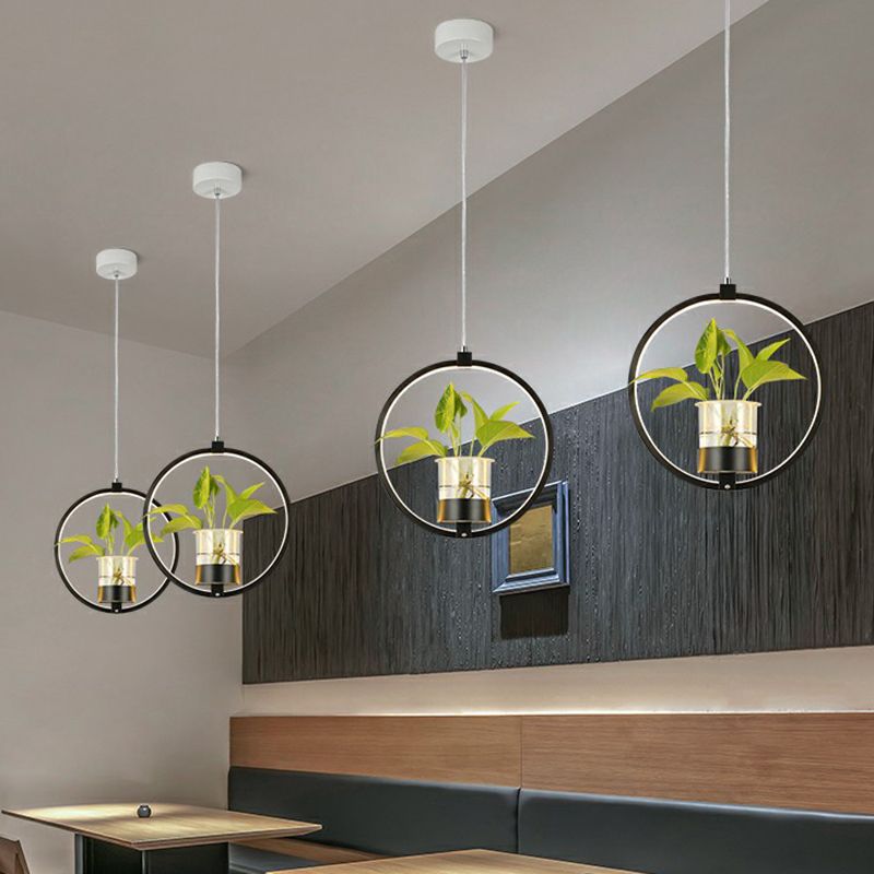 Lampada per sospensione della sala da pranzo acrilica del soffitto a led circolare circolare nordico con secchio di vetro