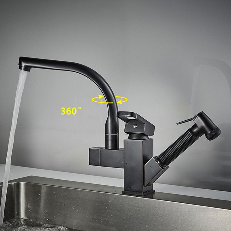 Traditional 1-Handle Faucet with Water Dispenser Standard Kitchen Faucet