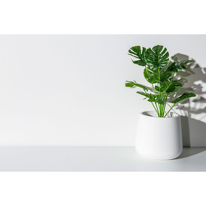 Wall Mural Environment Friendly Wallpaper Monstera Sitting Room Wall Mural