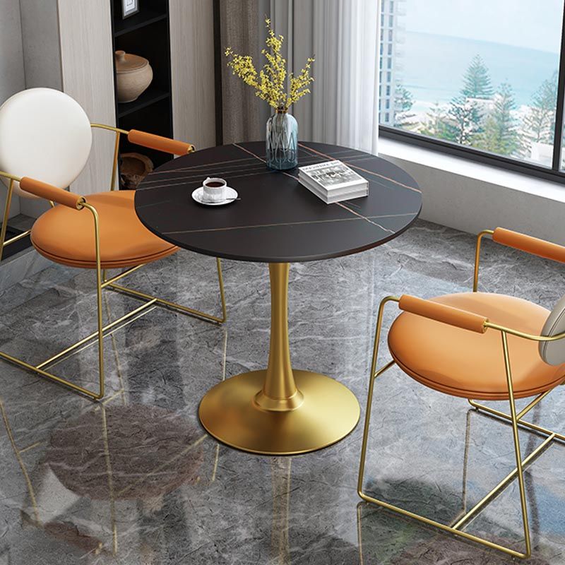 Leather Upholstered Arm Chair King Louis Back Chair for Dining Room