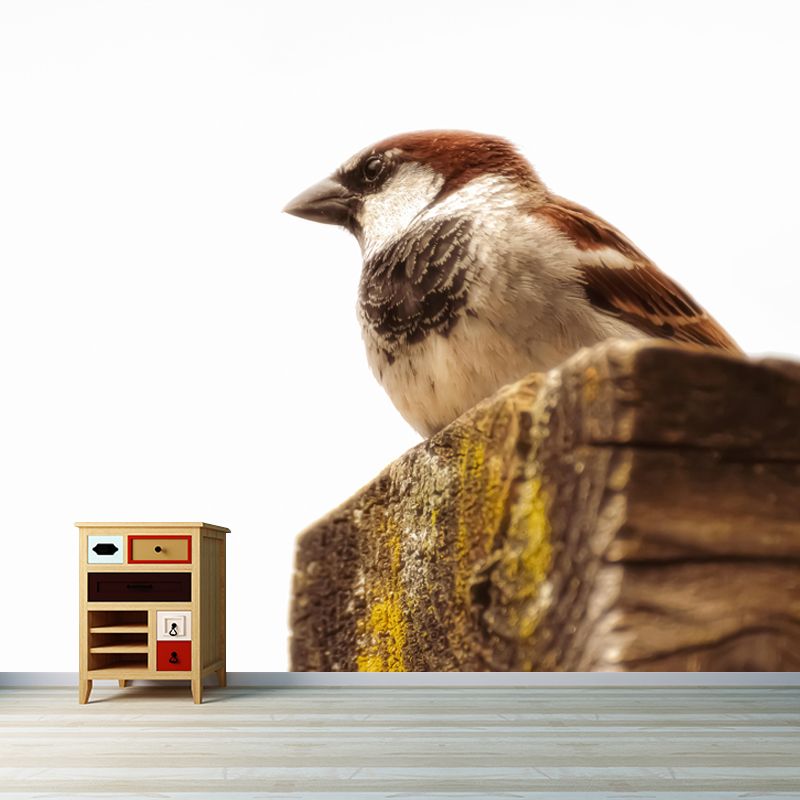 Modern Sparrow Mural Wallpaper Moisture Resistant Living Room Wall Covering