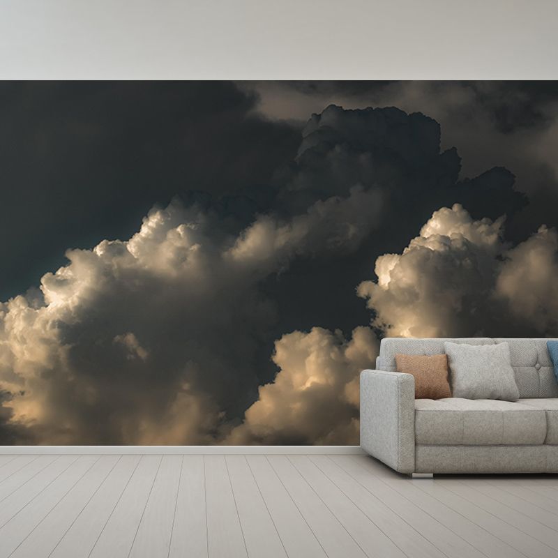 Living Room Contemporary Mildew Resistant Sky Mural Photography Wall Mural