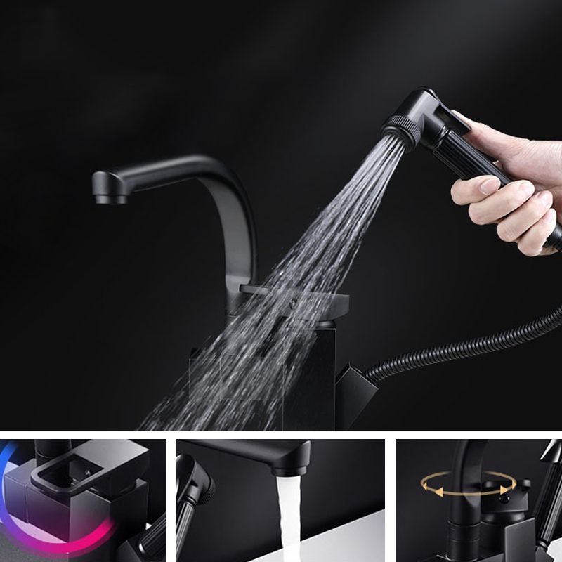 Traditional 1-Handle Faucet with Water Dispenser Standard Kitchen Faucet