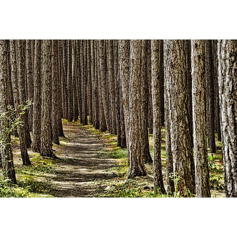 Modern Minimalist Forest Mural Wallpaper Living Room Murals Personalized Size