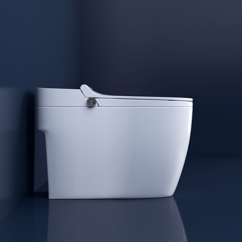 Contemporary Flush Toilet Floor Mounted One-Piece Toilet Porcelain Toilet Bowl