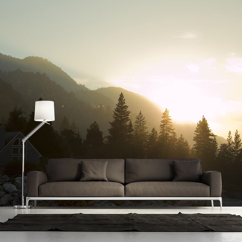 Natural Landscape Wall Mural Contemporary Decorative Living Room Wall Art for Decoration