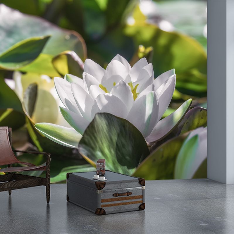 Water Plants Flower Print Wall Mural Decal Moisture Resistant, Custom Size