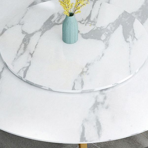 Metal and Stone Table Glam Style Round Dining Table for Home Living Room