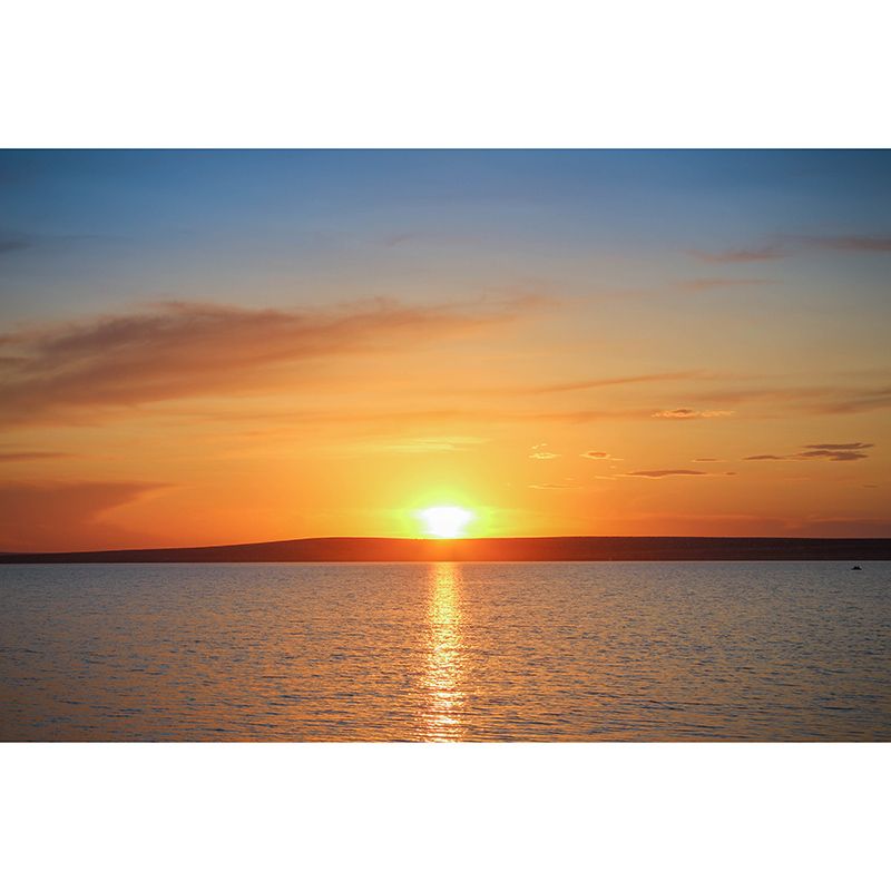 Sky and Cloud Mural Wallpaper for Resting Room Decor, Custom Size Available