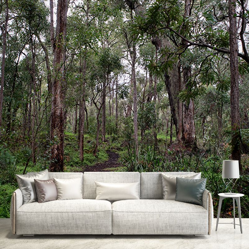 Minimalism Style Forest Mural Wallpaper Water Resistant Wall Covering for Home