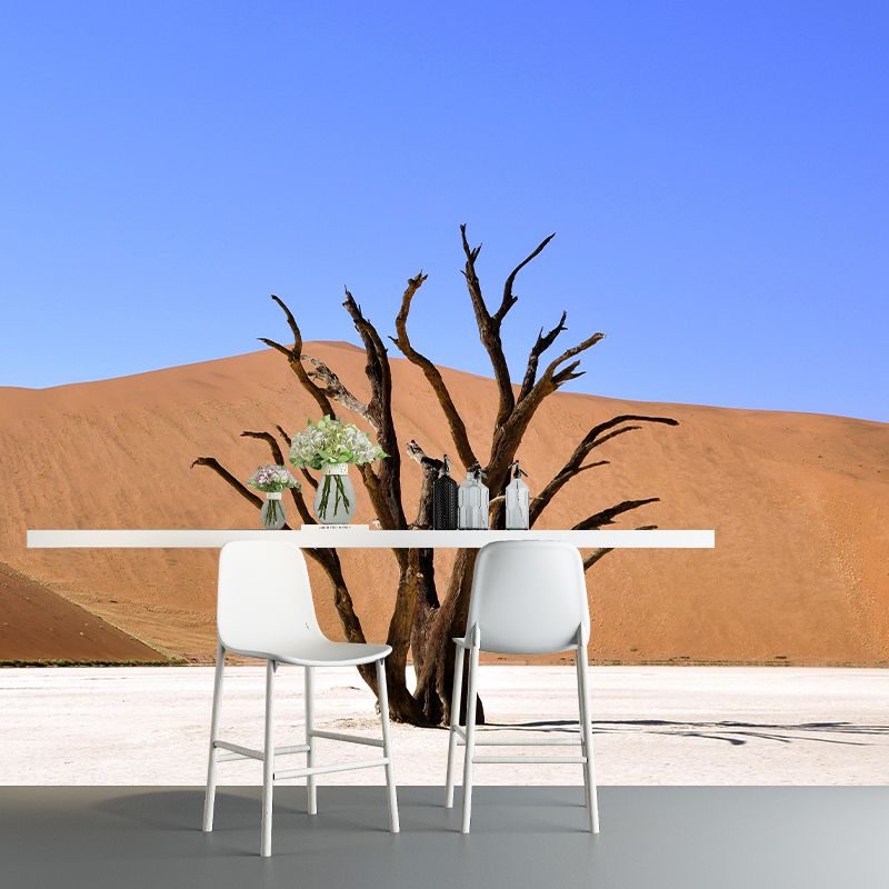 Photography Wallpaper Dry Desert Modern Stain Resistant for Accent Wall