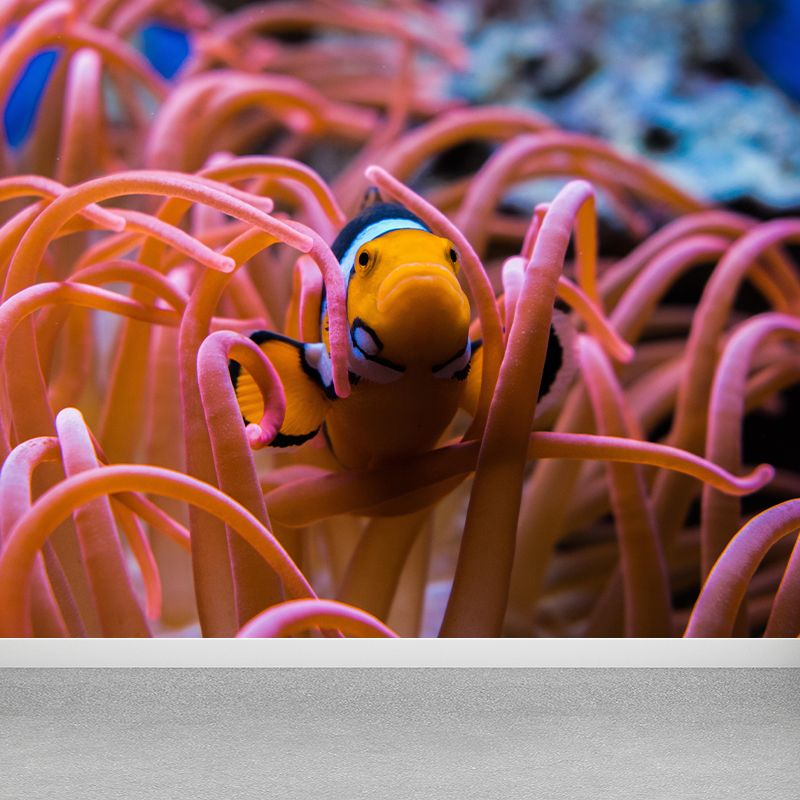 Tropical Seabed Mural Full Size Clownfish Pattern Wall Decoration for Living Room