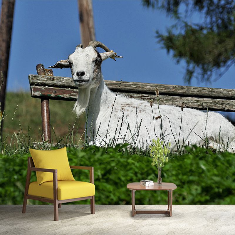 Customized Goat Wall Mural Wallpaper Horizontal Photography for Sitting Room