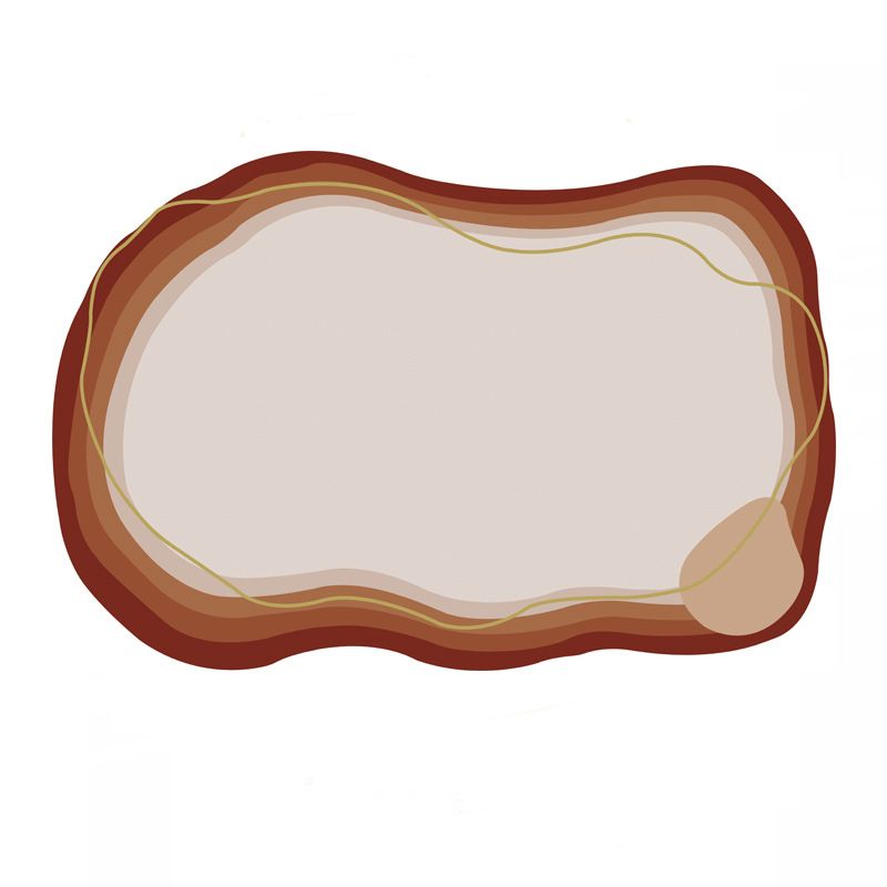 Eigentijdse huizendecoratie Tapijt ombre print indoor tapijt polyester huisdiervriendelijk gebied Tapijt