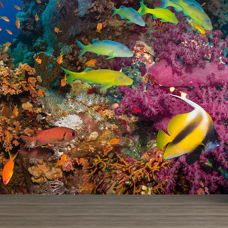 Tropical Underwater World Wallpaper Mural Colorful Moisture Resistant Wall Covering for Kids Room