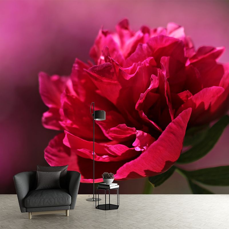 Full Size Photography Modern Mural Decal with Blossoming Peony for Living Room