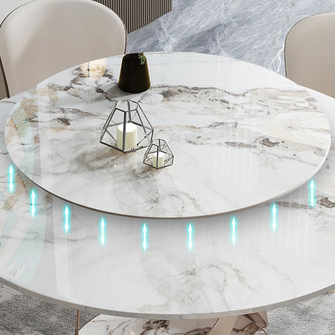 Modern Sintered Stone Dining Room Set with Round Table and Metal Base Dining Table Furniture