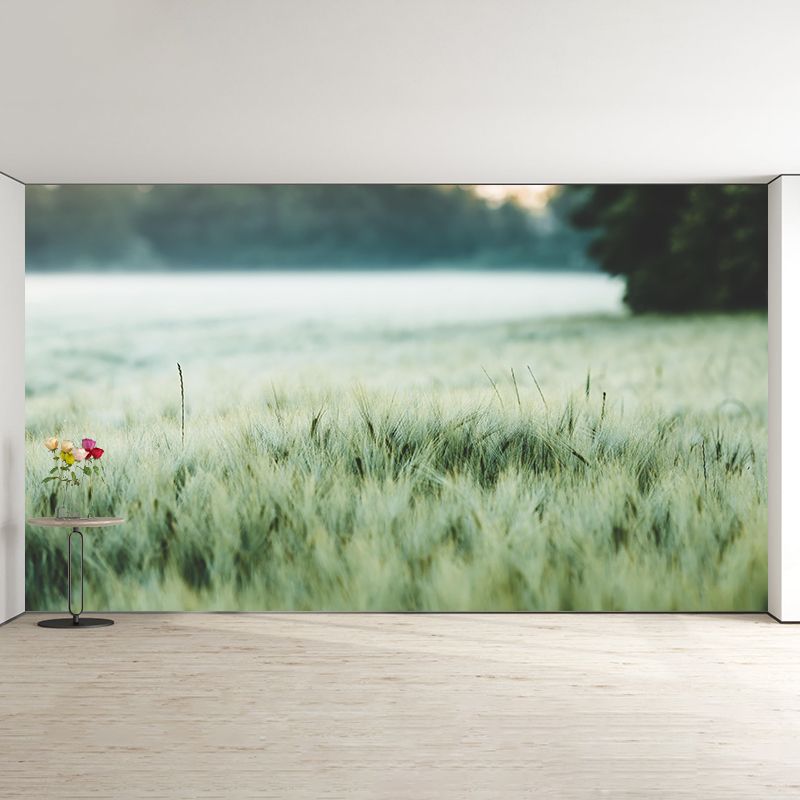 Relaxing Barley View Mural Wallpaper Pastel Color Modern Wall Covering for Drawing Room