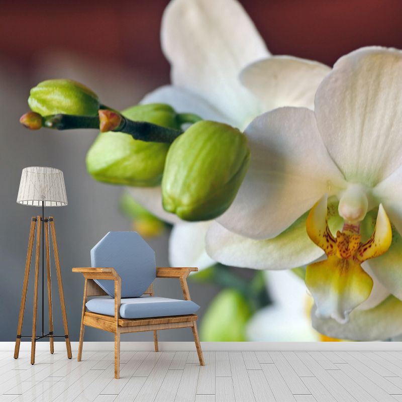 Orchid Contemporary Mural Decal Sitting Room Moisture Resistant Wall Decor