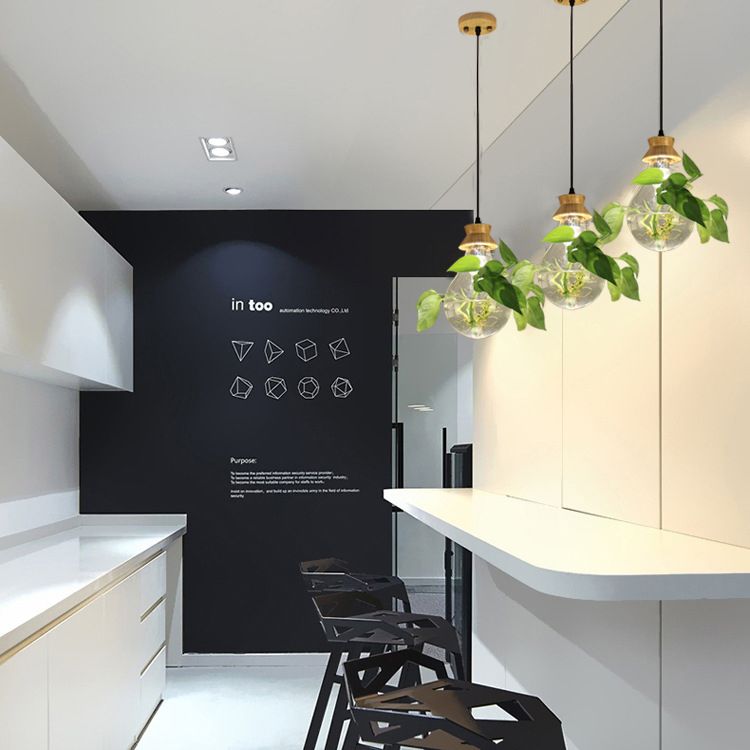 Contemporary Design Bulb Glass Shade Hanging Lamp Hydroponics Plant Drop Pendant for Coffee Shop