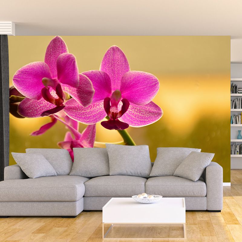 Phalaenopsis Mural Moisture Resistant Wallpaper Wall Decor for House Interior