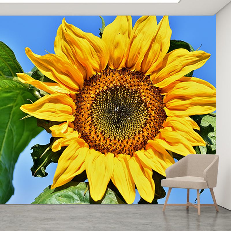 Beautiful Sunflower Wallpaper Mural Yellow Moisture Resistant Wall Art for Home