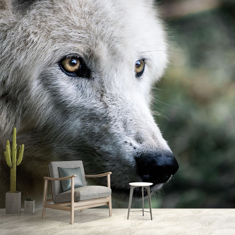 Customized Wolf Wall Mural Horizontal Photography for Sleeping Room Decoration