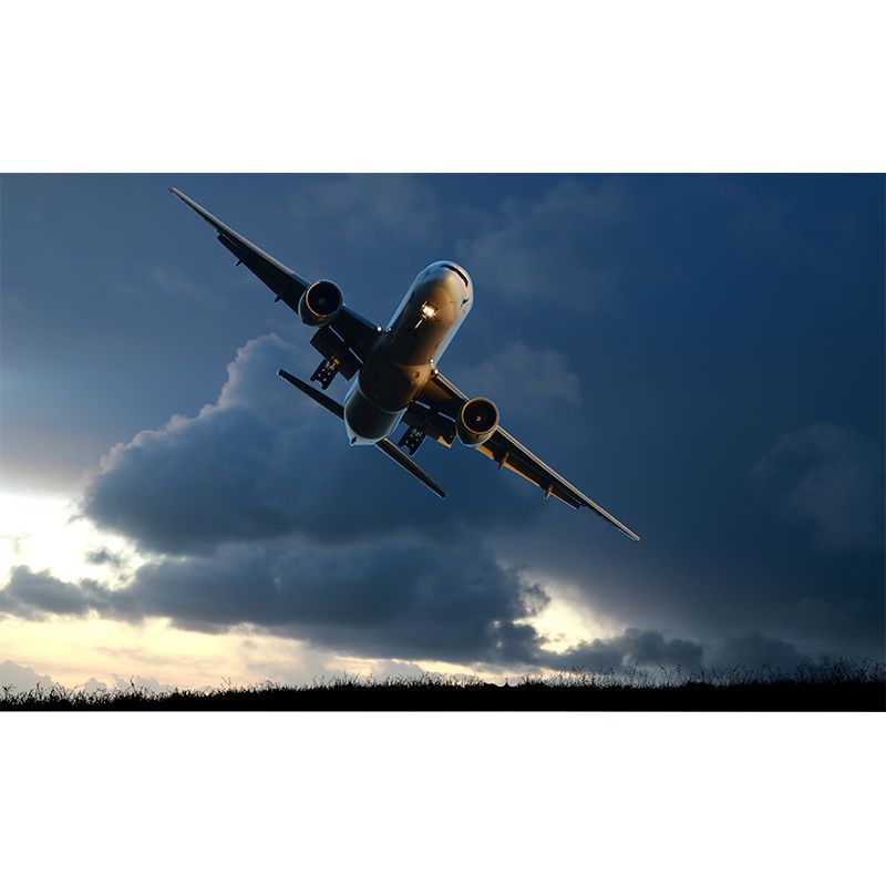 Aircraft Transportation Stain Resistant Wall Decor for Sitting Room, Made to Measure