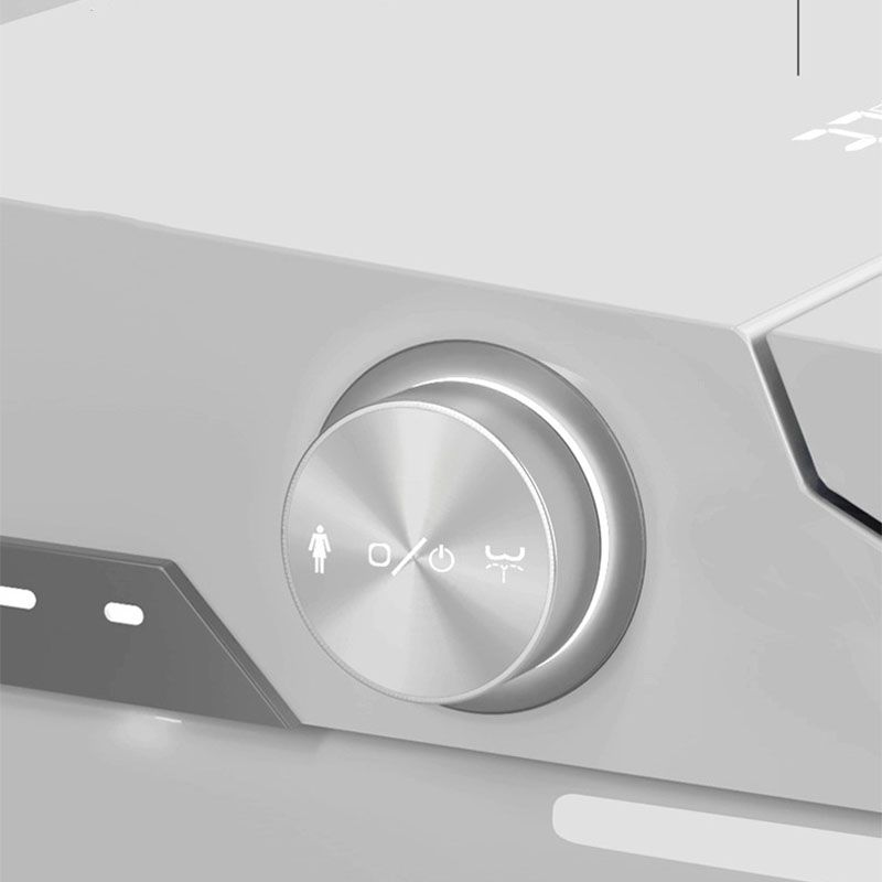 Ultraviolet Sterilization Toilet Elongated Floor Mounted One Piece Toilet