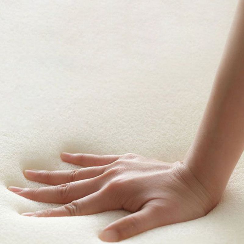 Living Room Futon Sleeper Sofa Bed Modern Style Convertible Sofas