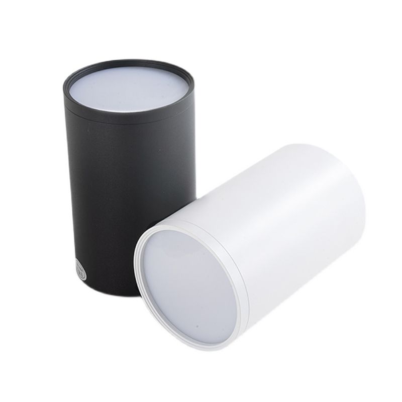 Modern Concise LED Flush Mount Aluminium Cylindrical Ceiling Light with Acrylic Shade