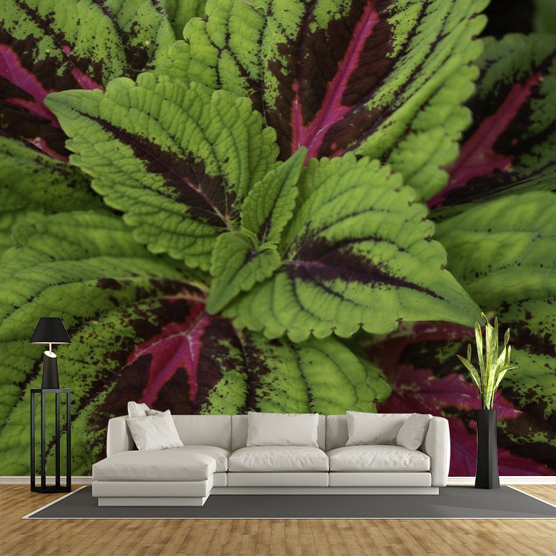 Coleus Plant Moisture Resistant Mural Decal Environment Friendly for Bathroom