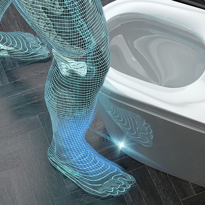 Contemporary Ceramic Flush Toilet Floor Mount Toilet with Seat for Washroom