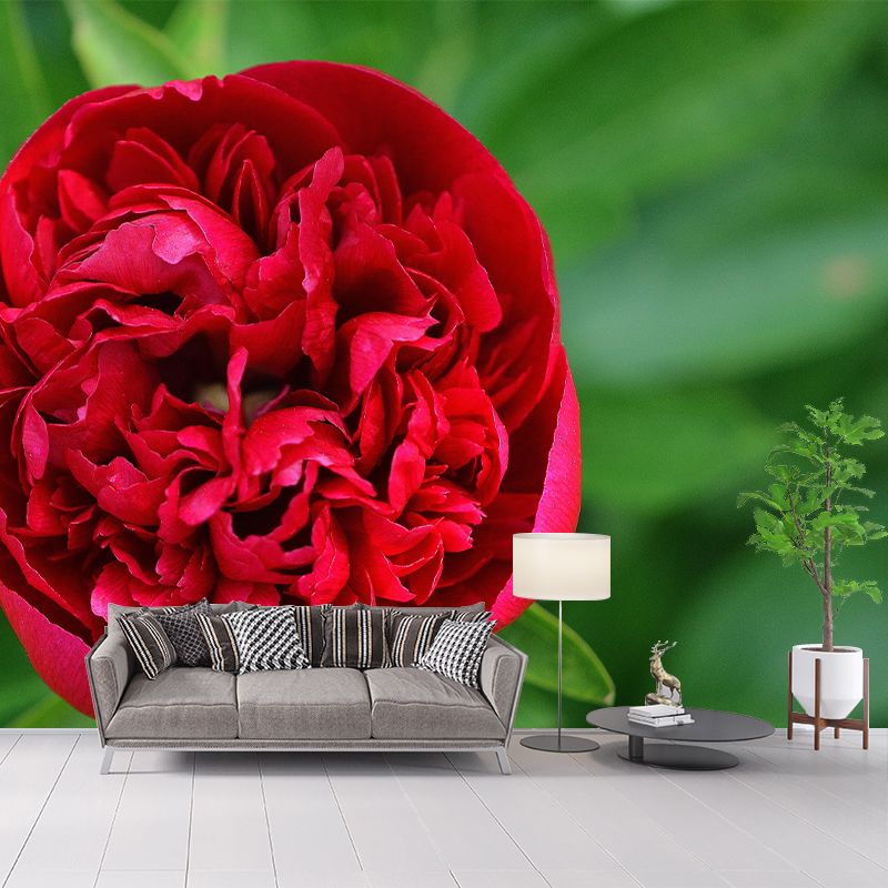 Peony Mural Wallpaper Wall Covering Mildew Resistant for Sleeping Room