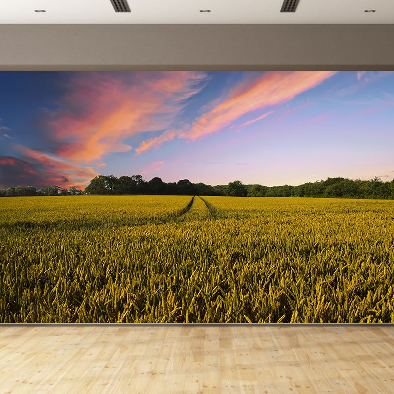 Modern Barley View Mural Wallpaper Light Color Wall Covering for Dining Room