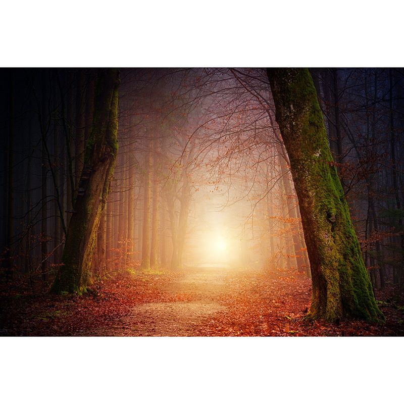 Modern Style Wall Mural Wallpaper Environment Friendly Forest Bedroom Wall Mural